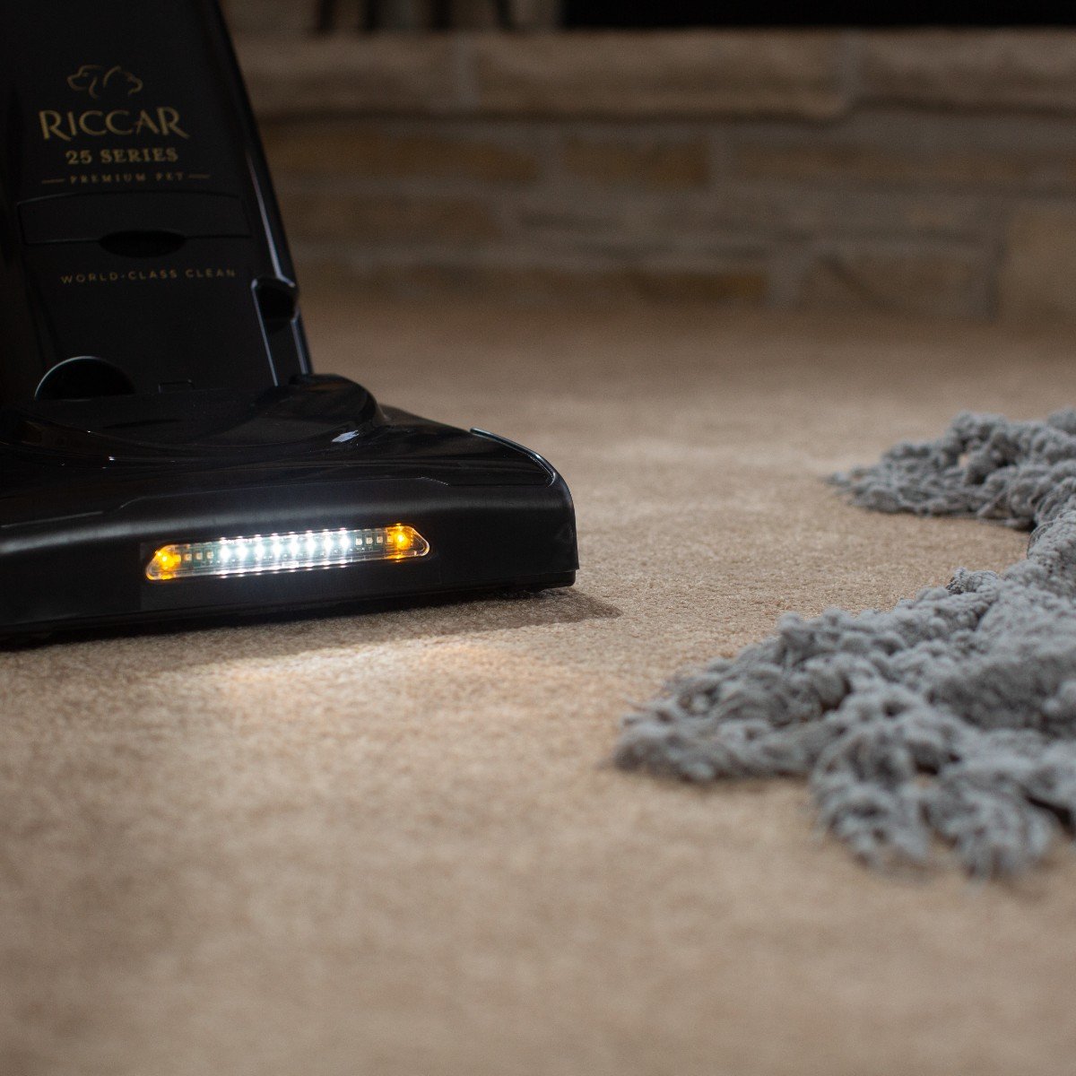 House Cleaning Tips Every Pet Owner Should Know!